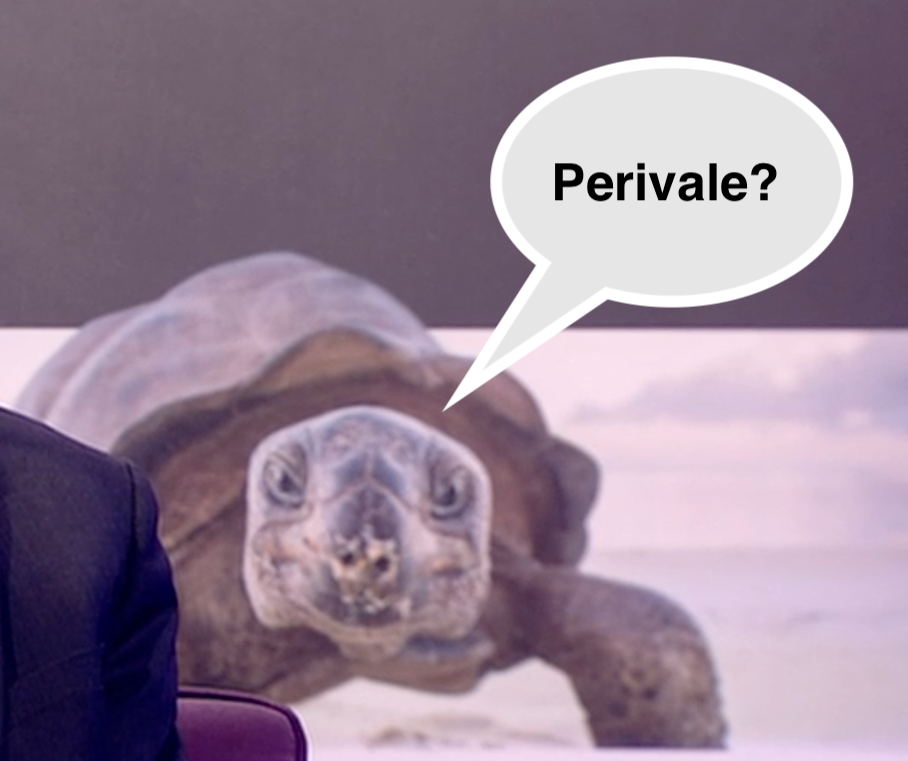 A giant tortoise with a speech bubble that reads 'Perivale'